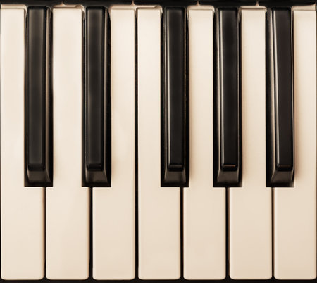 Isolated Piano Keyboard One Octave Keysの写真素材