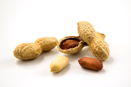 Dried peanuts in closeup on white backgroundの写真素材