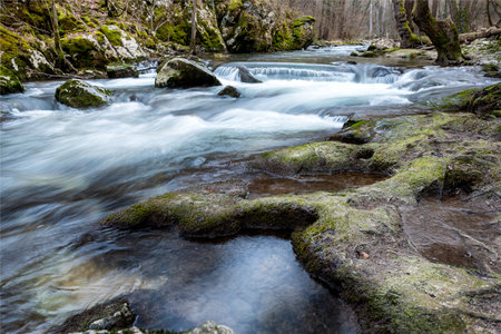 Stream going through the forest, long exposure. Moravica river through Lepterija, Soko Banja, Serbia