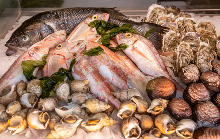 Seafood on ice at the fish market. Fish, shellfish, shrimp, squid, crab on ice