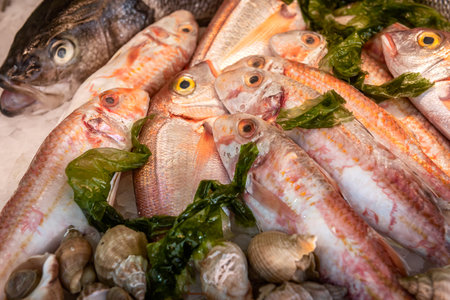 Seafood on ice at the fish market. Fish, shellfish, shrimp, squid, crab on iceの写真素材