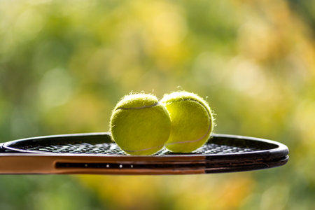 Bright yellow tennis balls and racket with natural light shading on green background at outdoors tennis court, blurred background, copy space.の写真素材