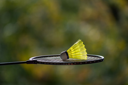 Bright yellow badminton shuttlecock and racket with natural light shading on green background at outdoors badminton court, blurred badminton background, copy space.の写真素材