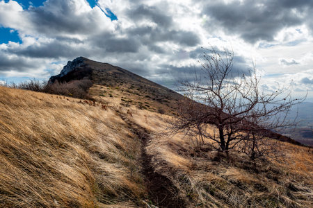 View to the peak Trem, highest peak of Suva planina (english translation Dry mountain) in southeastern Serbiaの写真素材