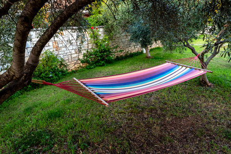 Colorful striped hammock between two trees in the backyard. Garden swingの写真素材