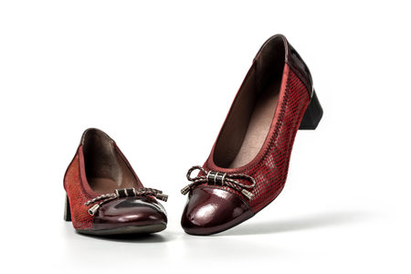 Studio photo of brown female loafers with low heel. Slip on female leather brown shoes on white backgroundの写真素材