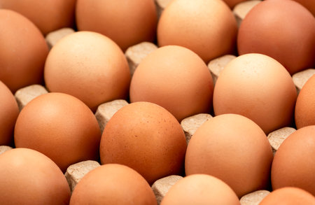 A number of fresh chicken eggs on a paper tray