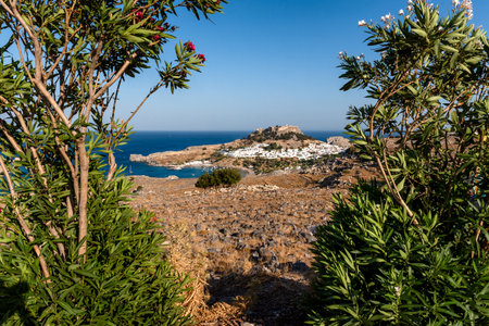 Distant view through shrubbery of Lindos town and ancient acropolis, Rhodes island, Greeceの写真素材