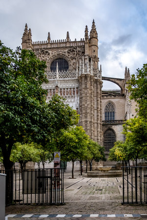 Seville Cathedral, Giralda tower, Sevilla, Spain. Church in Sevilla and orange treesの写真素材