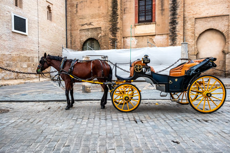 Traditional Horse and Cart in Seville, Andalusia, Southern Spain