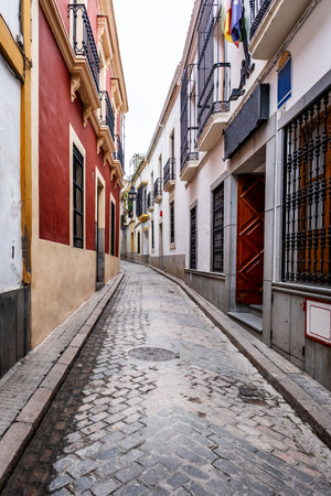 Old typical narrow street in Cordoba with old buildings with white walls decorated with colorful flower potsの写真素材