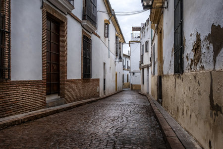 Old typical narrow street in Cordoba with old buildings with white walls decorated with colorful flower potsの写真素材