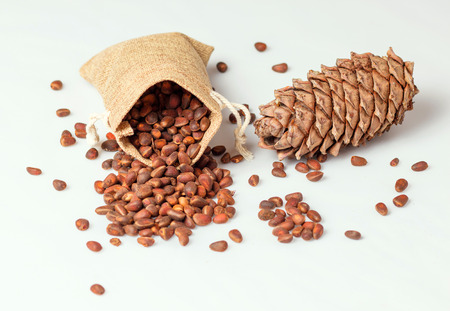 pine nuts in a sack and a bump