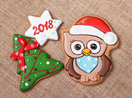 New Year gingerbreadの写真素材