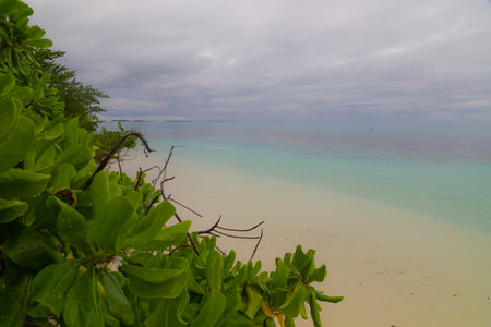 tropical beach with white sand, turquoise water and blue skyの写真素材