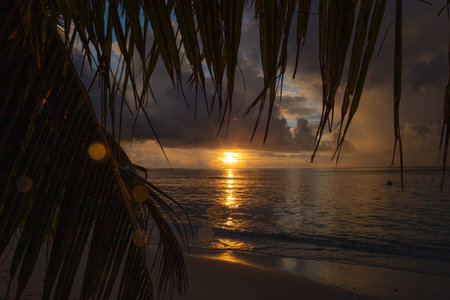 Sunset on the beach with palm trees and sunbeams.の写真素材