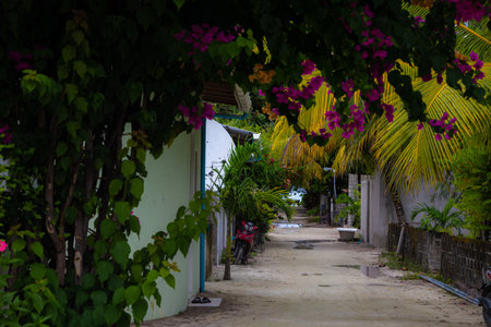 Beautiful streetの写真素材