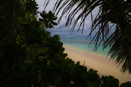 Tropical beach at Seychelles, Mahe islandの写真素材
