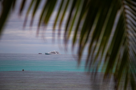 Cruise ship and palm leaves in the Indian oceanの写真素材