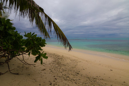 beautiful beach on the seychelles islands with cloudy skyの写真素材