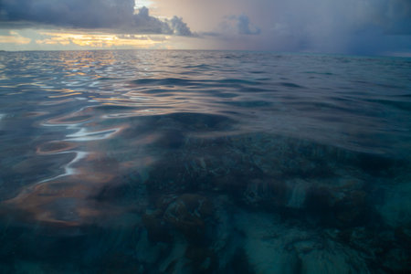 Beautiful seascape with coral reef and blue sea water.の写真素材