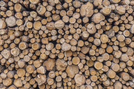 firewood or logs wood texture backgroundの写真素材