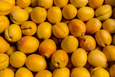 fresh apricot yellow abstract fruit colorful pattern texture backgroundの写真素材