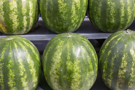 fresh abstract green watermelon fruit colorful pattern texture backgroundの写真素材