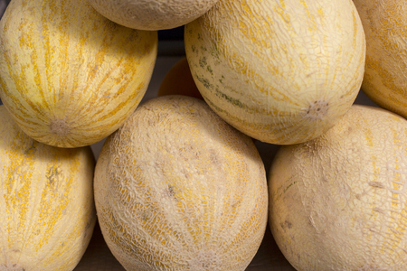 fresh yellow melon abstract fruit colorful pattern texture backgroundの写真素材