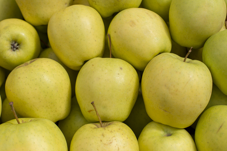 fresh green apple abstract fruit colorful pattern texture backgroundの写真素材