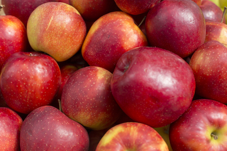 fresh red apple abstract fruit colorful pattern texture backgroundの写真素材