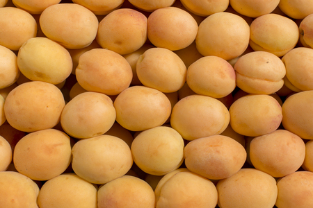 fresh apricot abstract fruit colorful pattern texture backgroundの写真素材