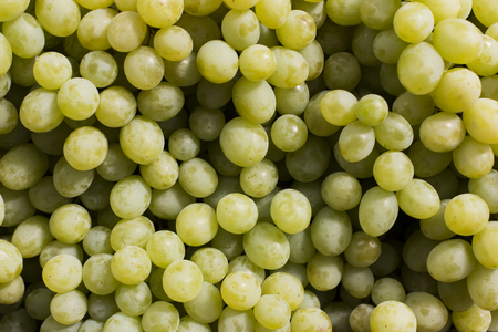 fresh grape abstract fruit colorful pattern texture backgroundの写真素材