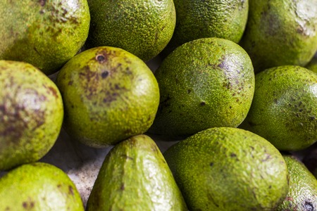 fresh avocado abstract fruit colorful pattern texture backgroundの写真素材