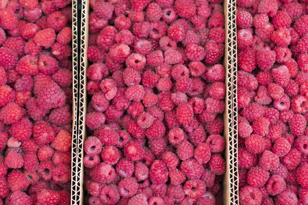 fresh red ripe raspberries in boxes abstract fruit colorful pattern texture backgroundの写真素材