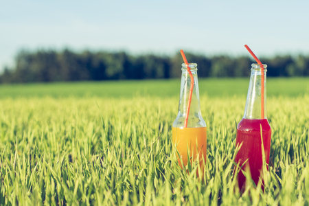 Summer party fresh beverage alcoholic Coctails red and orange in bottles standing in summer grass with strawの写真素材
