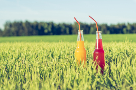 Alcoholic fresh beverage Coctails party red and orange in bottles standing in summer grass with strawの写真素材