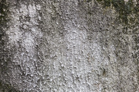 moldy rough surface pattern texture backgroundの写真素材