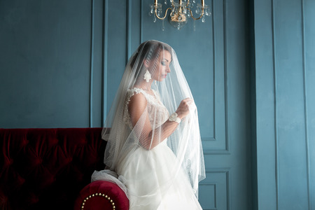 Wedding Closeup shot of gorgeous, elegant, young brunette bride in vintage white dress posing under veil closeup with red lips. Bride portrait wedding makeup and hairstyle, fashion bride. Beautiful bride in veilの写真素材