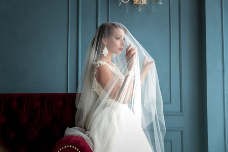 Closeup shot of gorgeous, elegant, young brunette bride with red lops in vintage white dress posing under veil closeup with red lips. Bride portrait wedding makeup and hairstyle, fashion bride. Beautiful bride in veilの写真素材