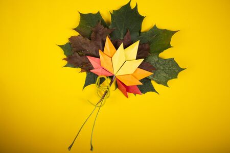 Fallen leaves autumn concept traditional paper craft art origami topshot on yellow background...