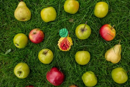 Apple harvest background, wicker basket on green grass, top view papercraft origami art autumn conceptの写真素材