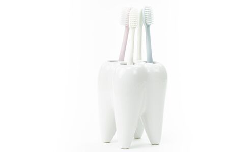 toothbrush stand shaped like primary tooth with colorful toothbrushes pastel shades close up isolated on white backgroundの写真素材
