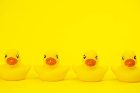 Four Yellow Rubber Ducks side by side in a Row isolated on yellow background copy space. unity concept, demonstration of solidarity. Baby bath toysの写真素材