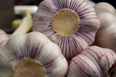 large garlic in trays on farmer's market stall close up. Vegetables are source of vitamins and health. Garlic antiviral helps avoid infection. concept of strengthening immunity by natureの写真素材