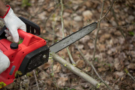 man sawing wood with a chain saw in background of fallen leaves close up thicket clearance....