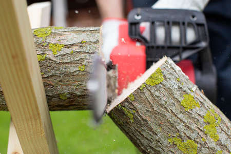 chain saw saw cuts wood on sawhorse close-up selective focus. domestic work, household chores....