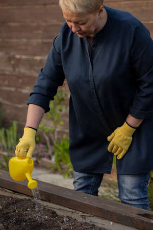 middle-aged female gardener waters freshly planted flowers and plants from watering can. Gardening...