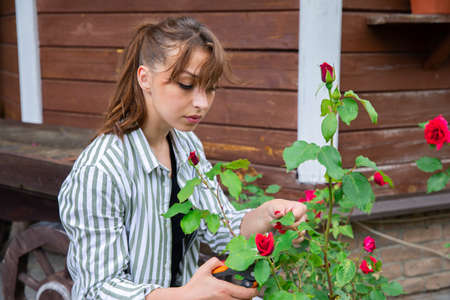 Young beautiful woman florist take care of flowers in outdoor garden. Female gardener pruning leaves...
