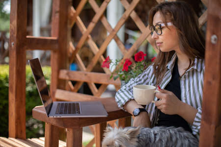 Stylish brunette girl with york dog looks at laptop communicating in social network drinking coffee on background of wooden pergola grid. distance working concept. Study and work at summer outdoorsの写真素材